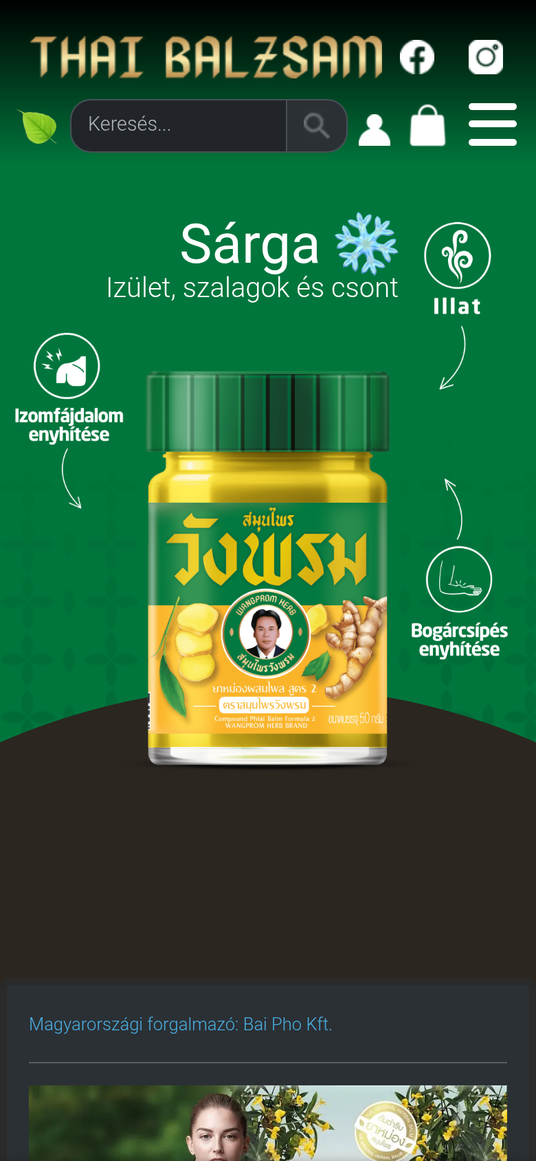 The Thai Balzsam splash screen in mobile view